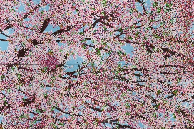 Cherry Blossoms: A Celebration of the Beauty in Life and Death