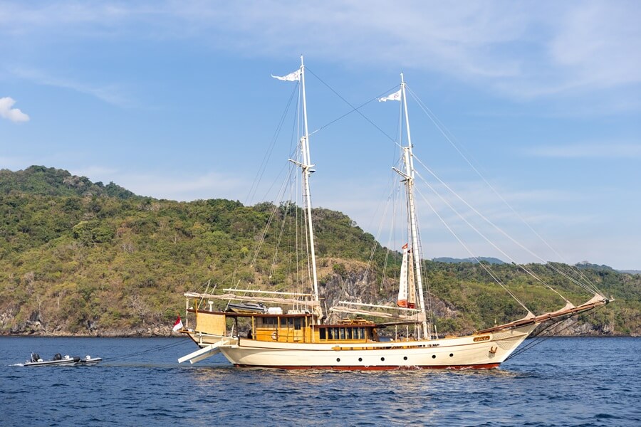 Superyacht, sailing yacht, phinisi, yacht charter, Indonesia, Raja Ampat, leopard sharks, marine conservation, Silolona Sojourns, Si Datu Bua, Cookson Adventures, ReShark, Sarah Seery, Dr Mark Erdmann, Nesha Ichida, Nick Davies